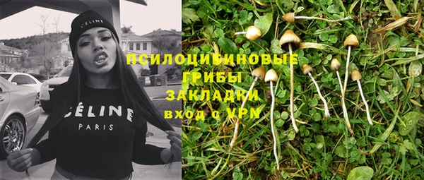 кокс Алексин