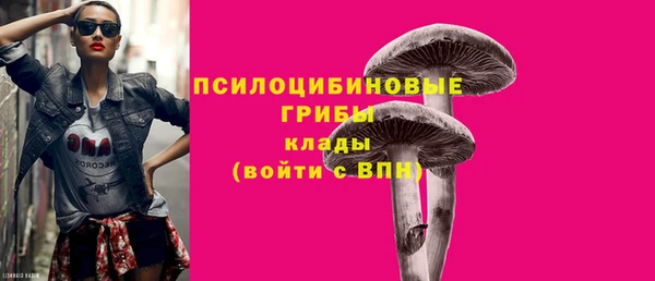 PSILOCYBIN Алексеевка