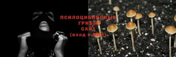 PSILOCYBIN Алексеевка