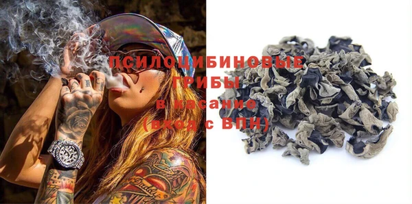 PSILOCYBIN Алексеевка