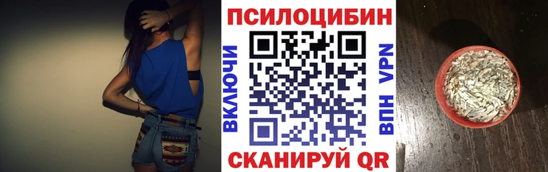 как найти Лахденпохья Псилоцибиновые грибы Cubensis